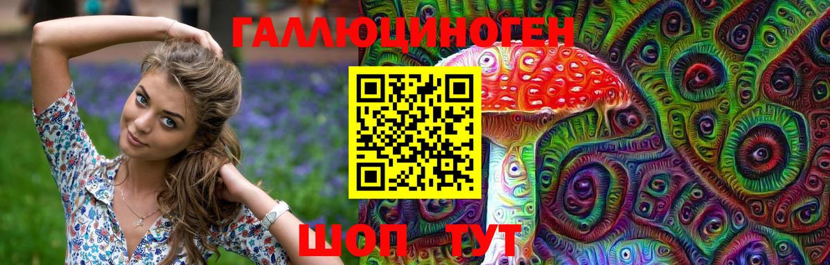 Псилоцибиновые грибы GOLDEN TEACHER  Вход с VPN  Галлюциногенные грибы GOLDEN TEACHER  Нижнеудинск 